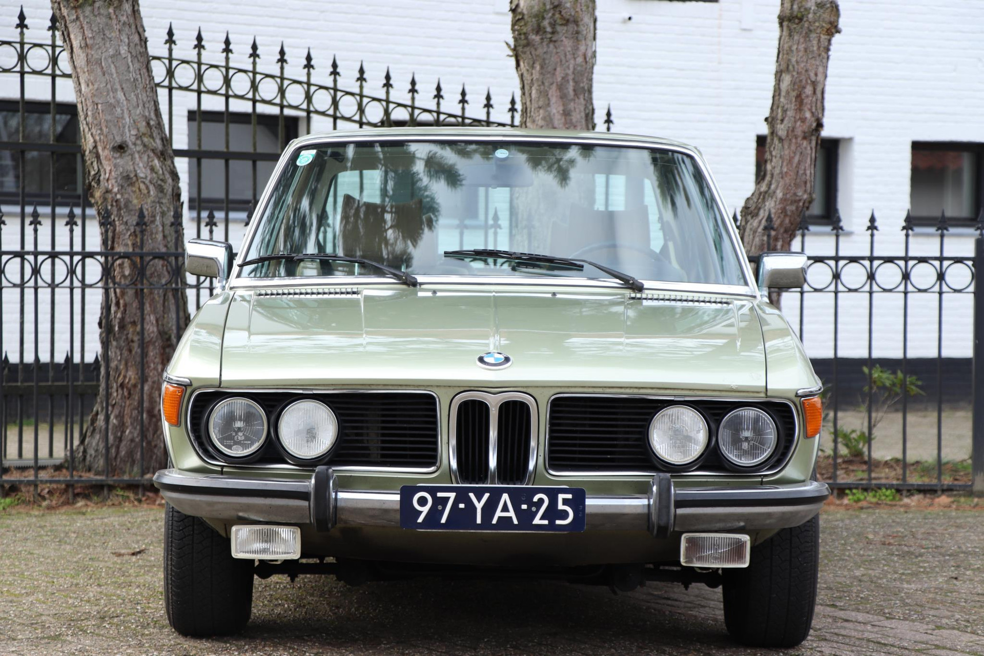 35137156-8.jpg