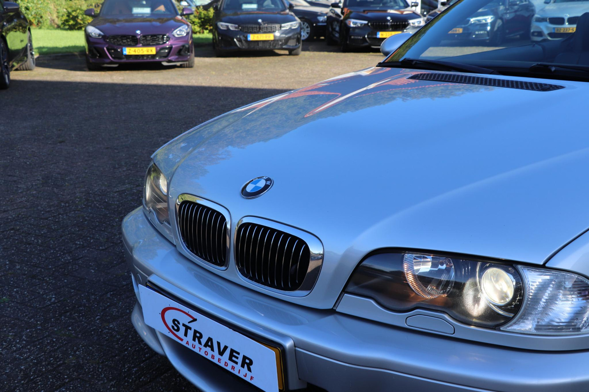 40288343-34.jpg