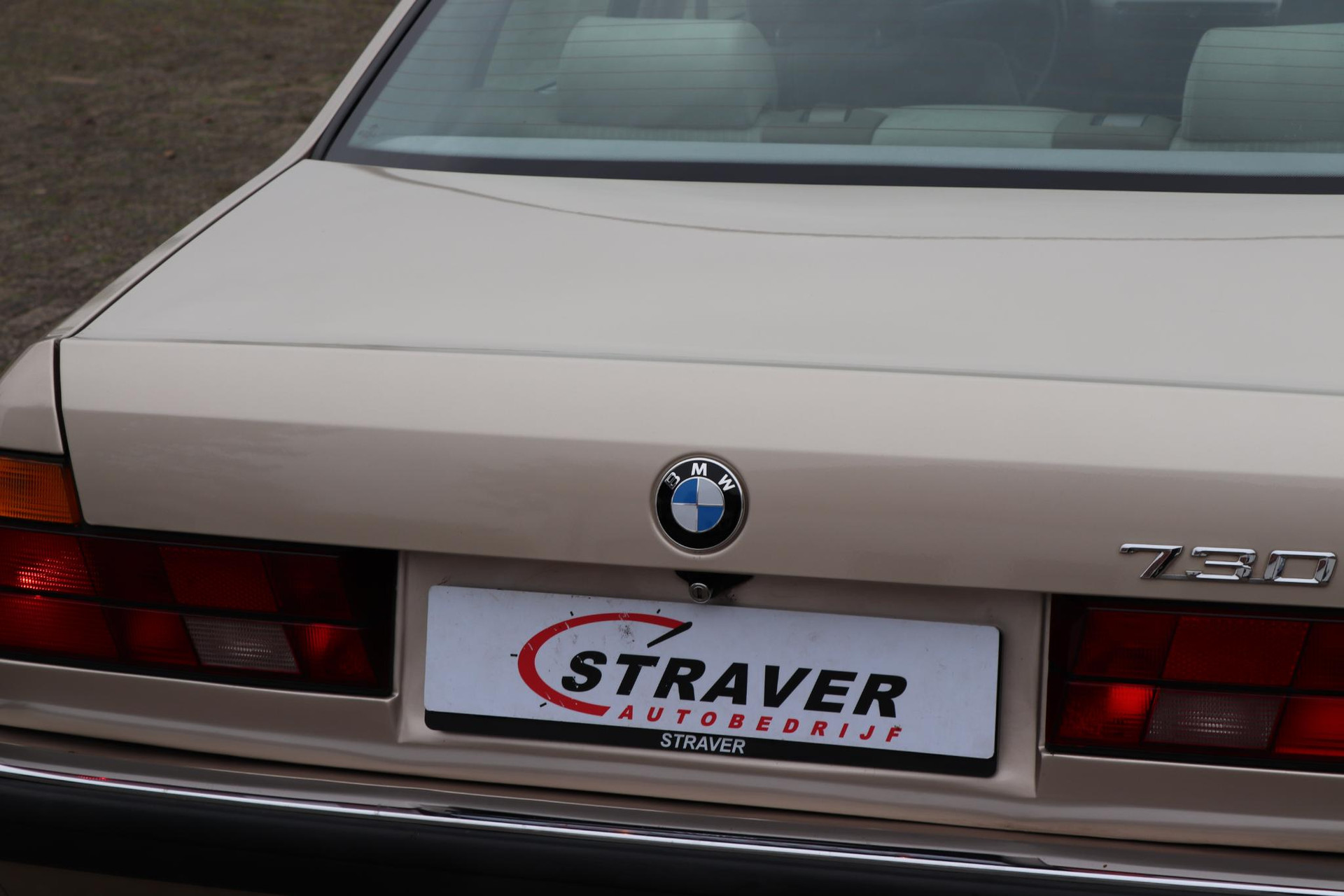 41129701-24.jpg