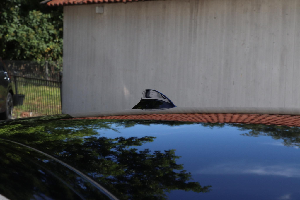 54691469-31.jpg
